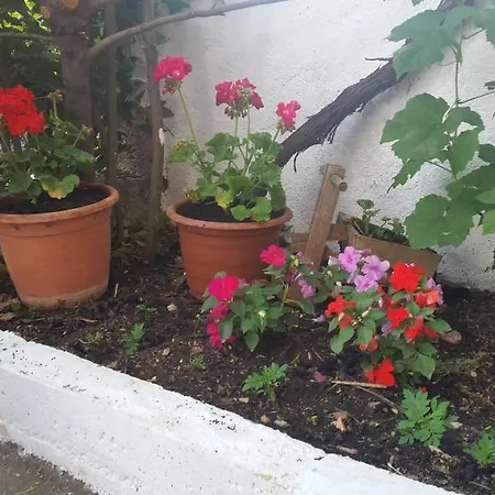 Apartamento Cozy *