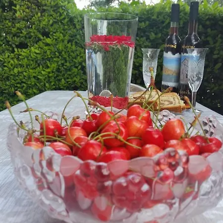 Cozy Šibenik