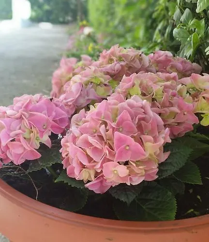 Apartment Cozy Sibenik